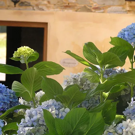 El Guindal タピア・デ・カサリエゴ