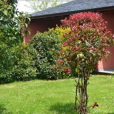 アパート El Guindal *