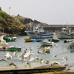 El Guindal